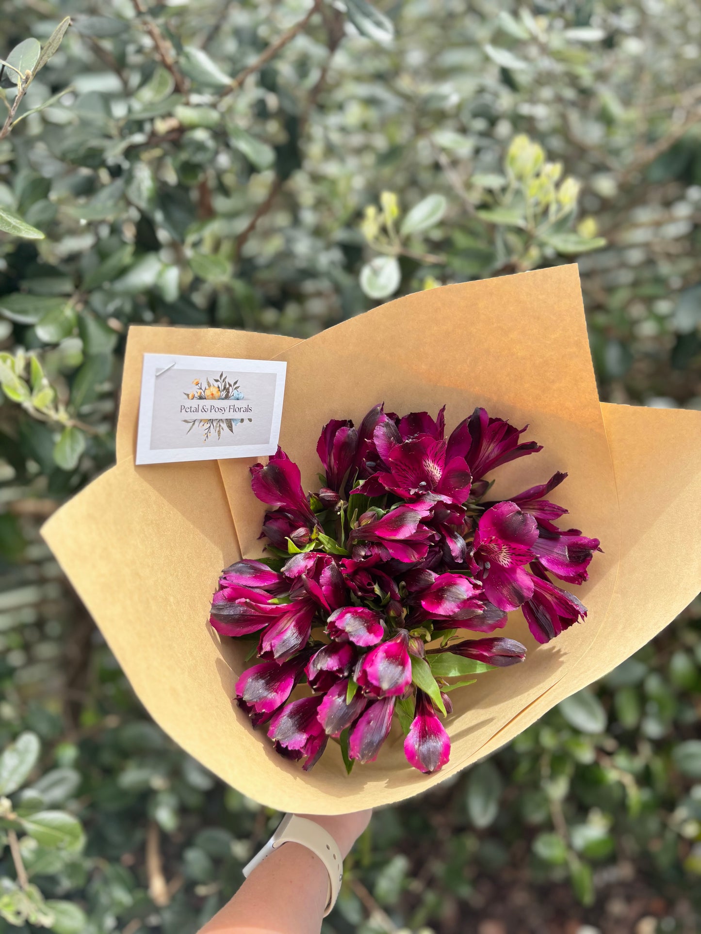 Market Fresh Alstroemeria