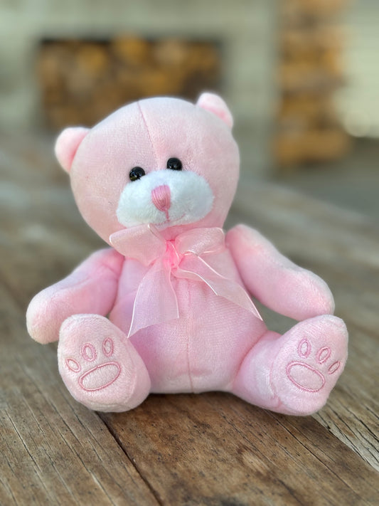 Pink Plush Teddy Bear