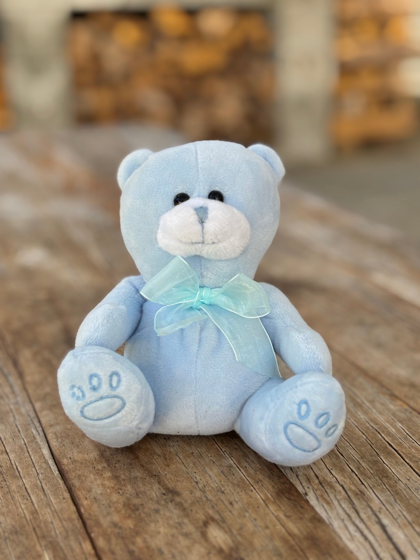 Blue Plush Teddy Bear