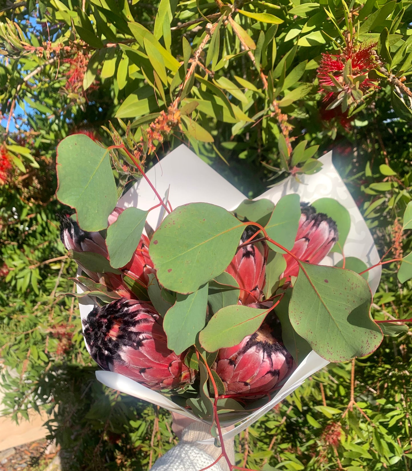 Protea Bouquet