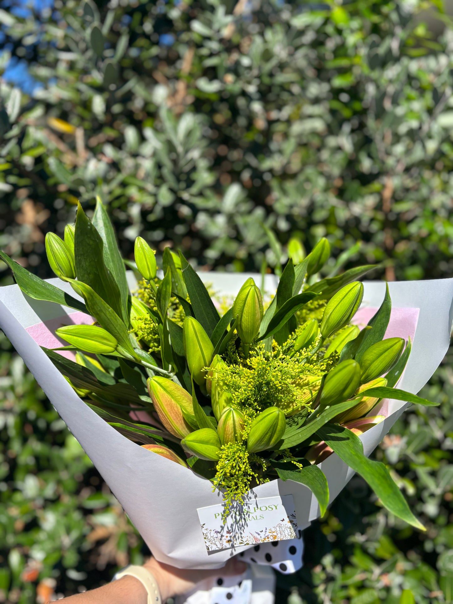 Lucious Lilies