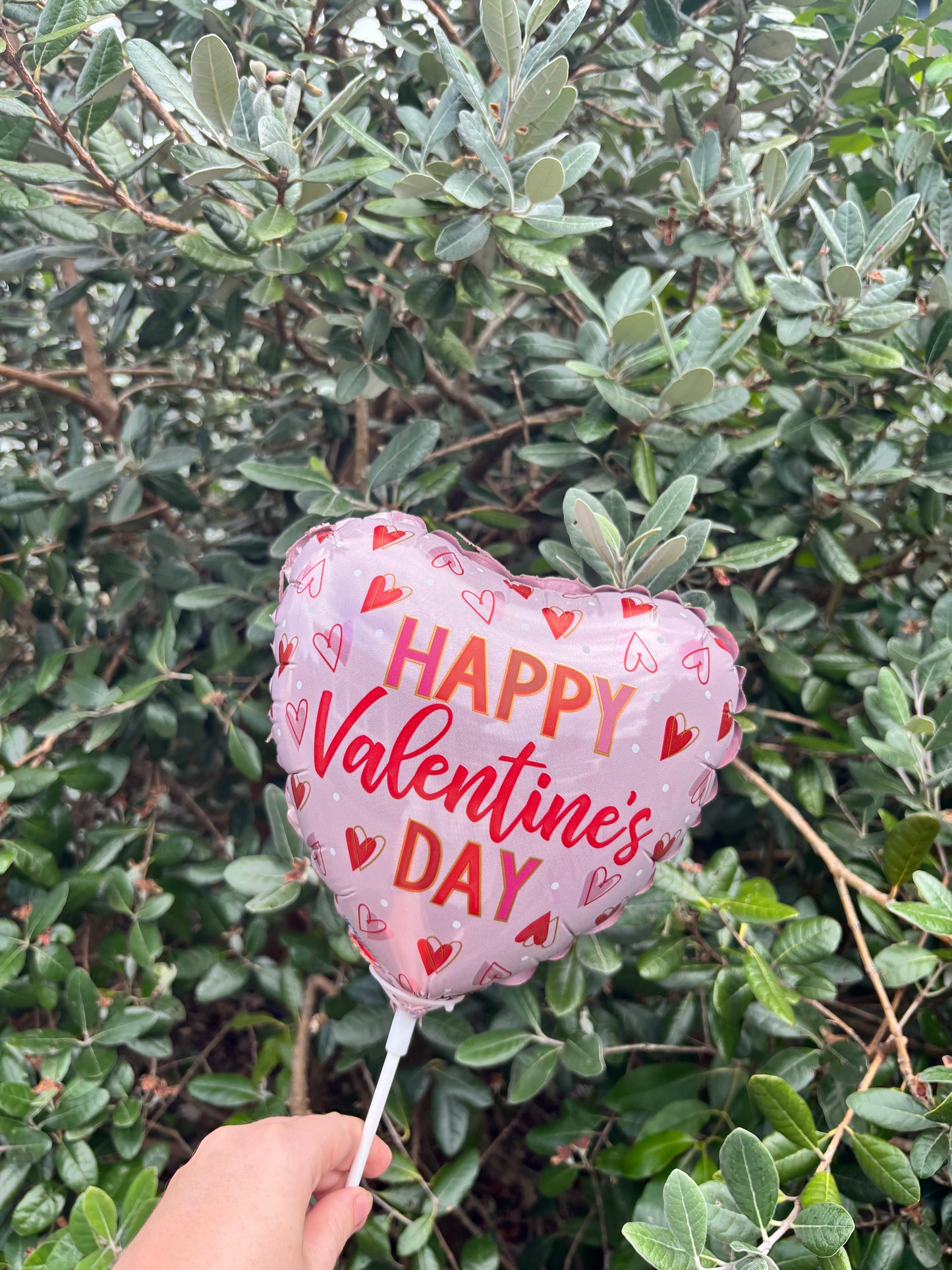 Valentine’s Day Balloon (Assorted)