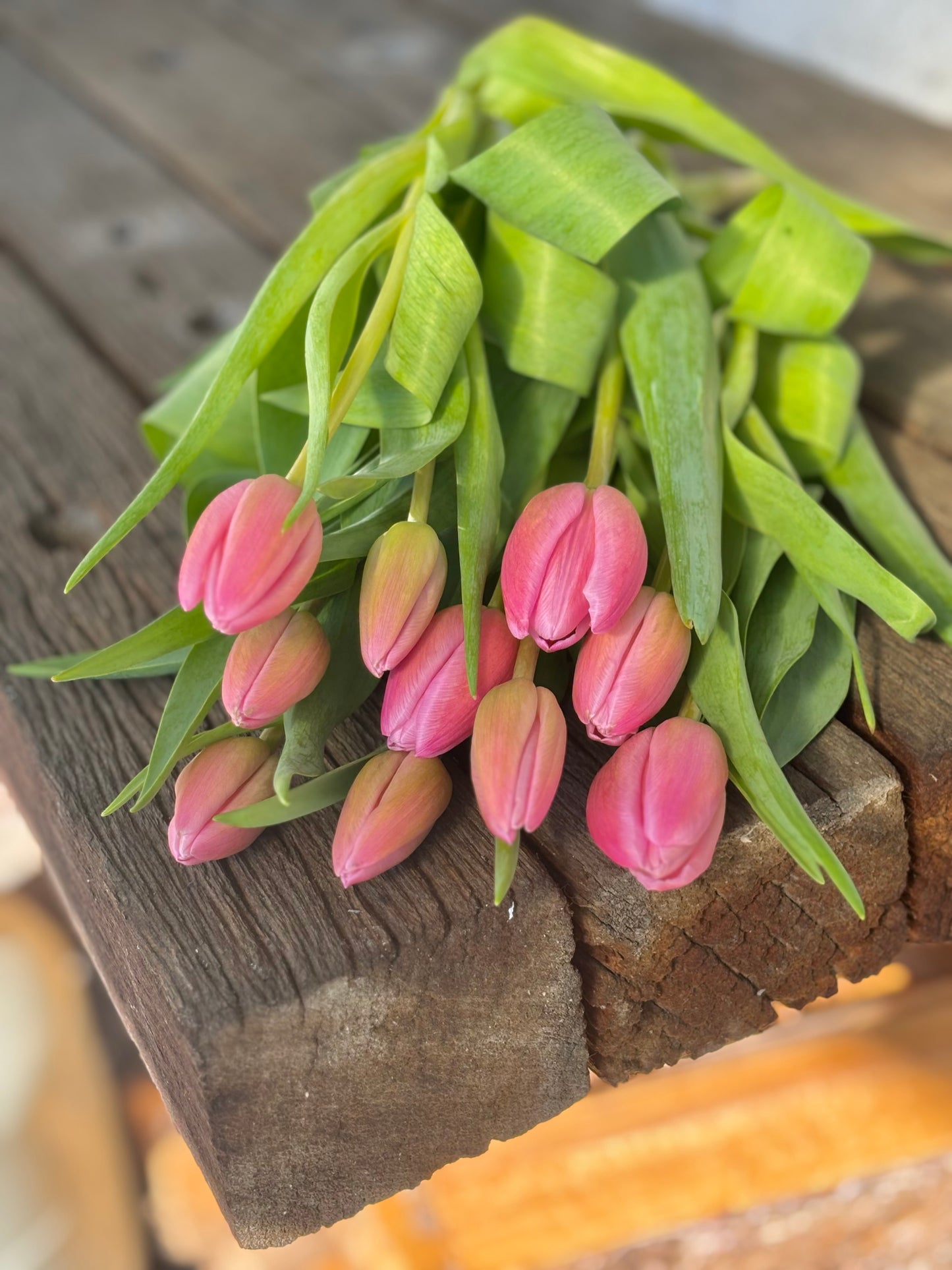 Tulip Bouquet