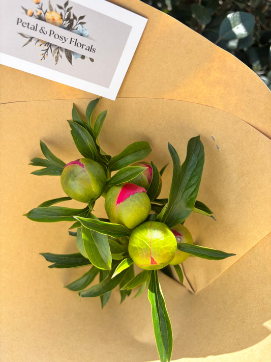 Market Fresh Peonies