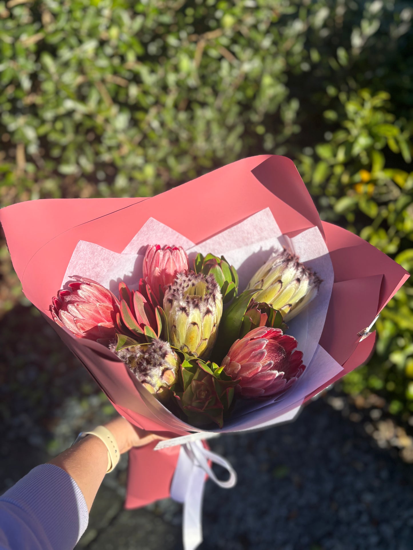 Protea Bouquet