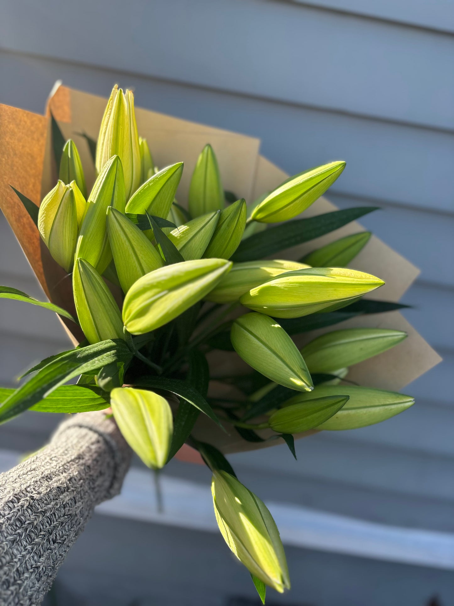 Market Fresh Lilies