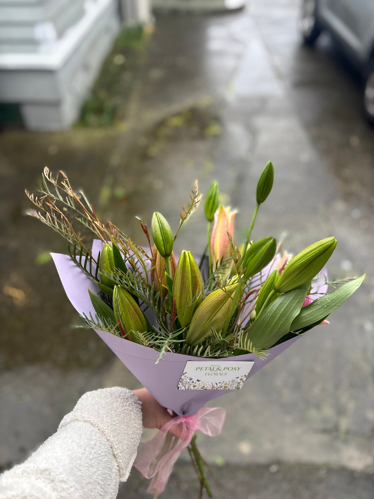 Lucious Lilies